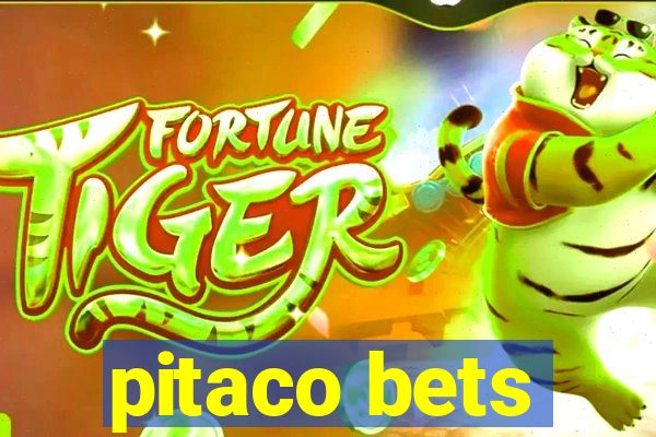 pitaco bets